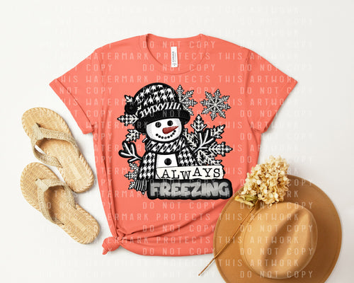 Always Freezing Graphic Tee product image 2